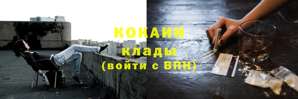 СК Бородино