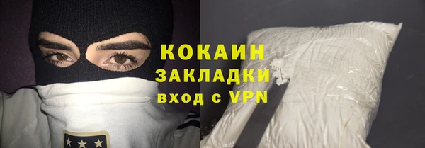 сатива Верея