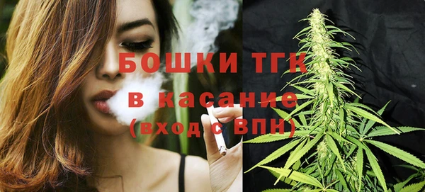 сатива Верея