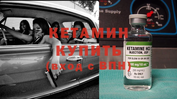 сатива Верея