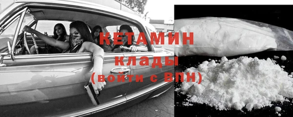 сатива Верея