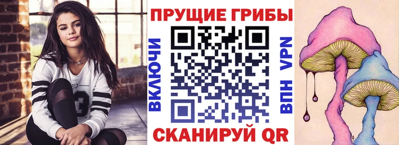 Псилоцибиновые грибы GOLDEN TEACHER  Зеленодольск 